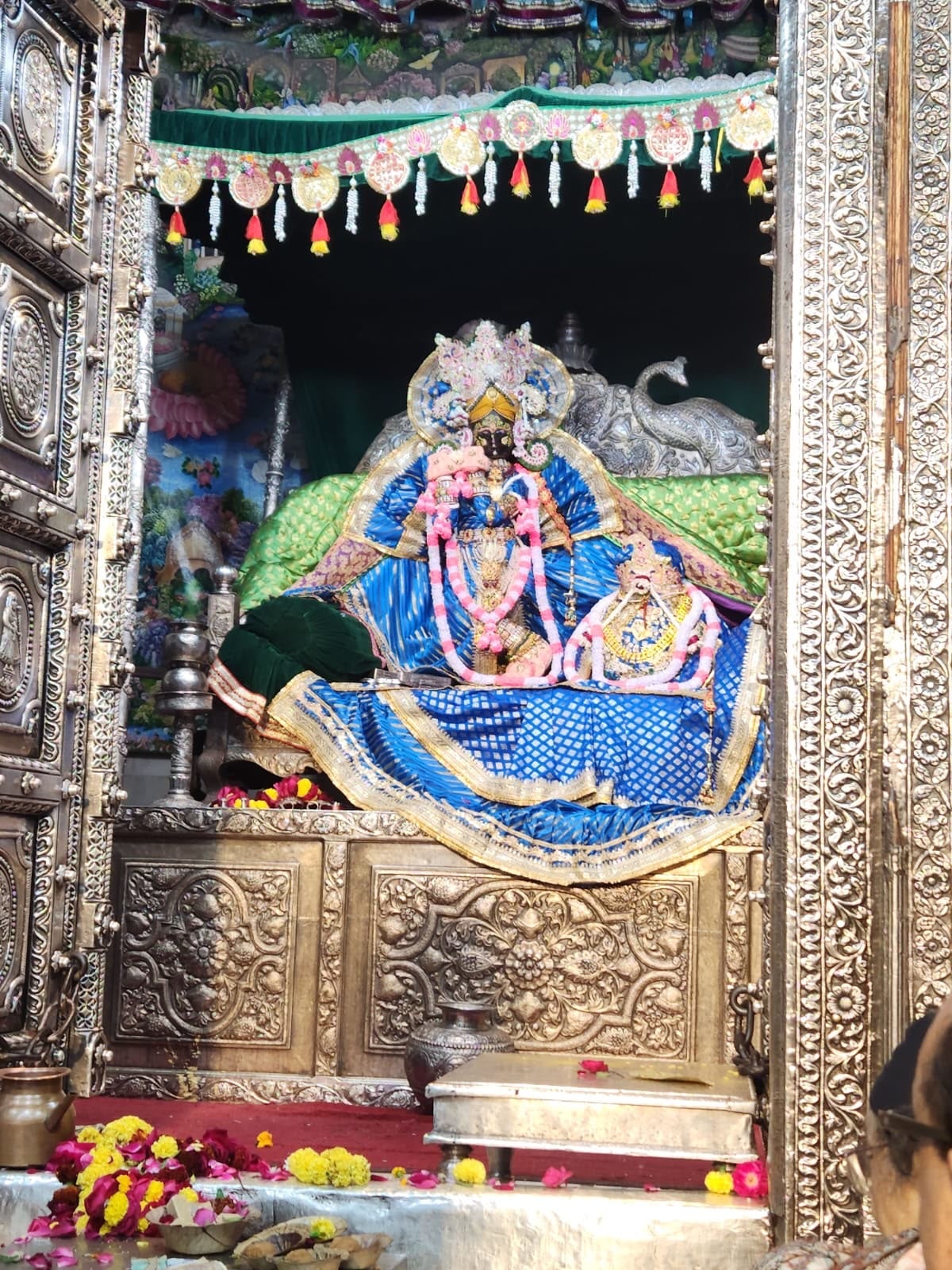 Shri Radhavallabh Lal Ji shrine in blue and pink attire within an ornate silver-toned enclosure in Vrindavan.